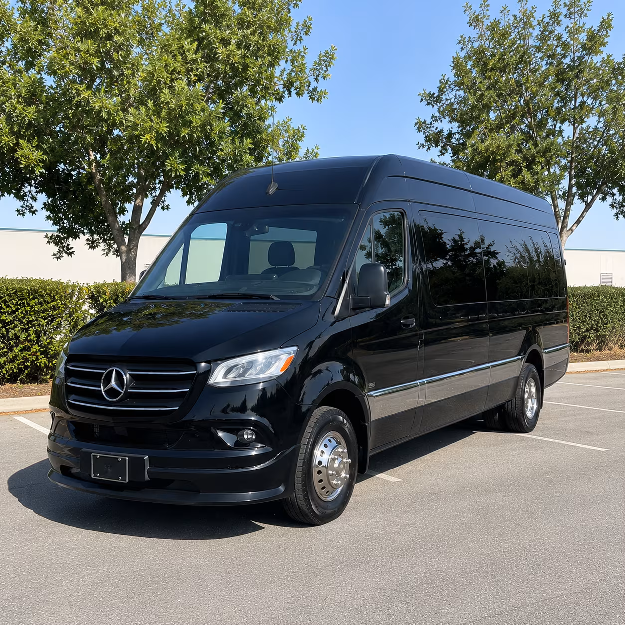 pittsburg sprinter van with driver